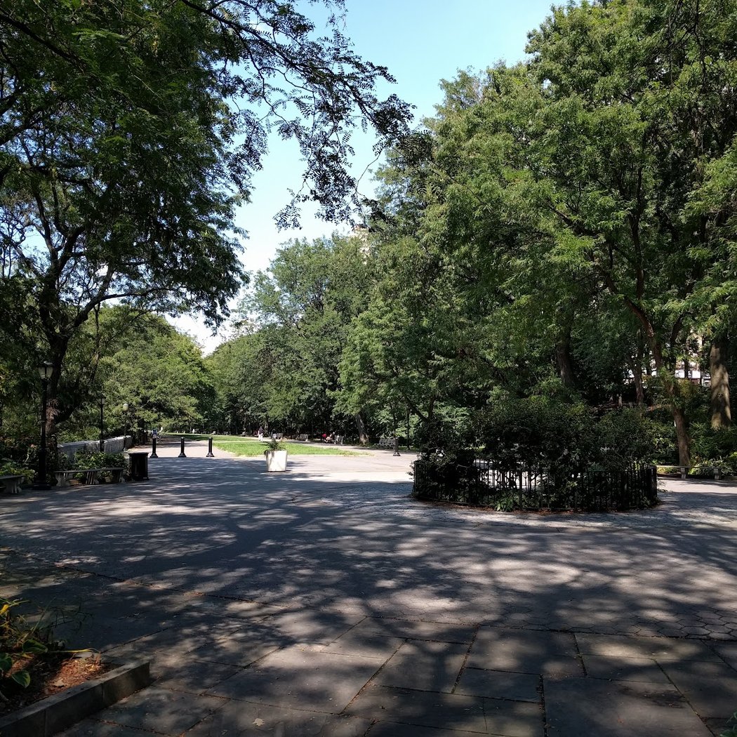 Forest Bathing 3