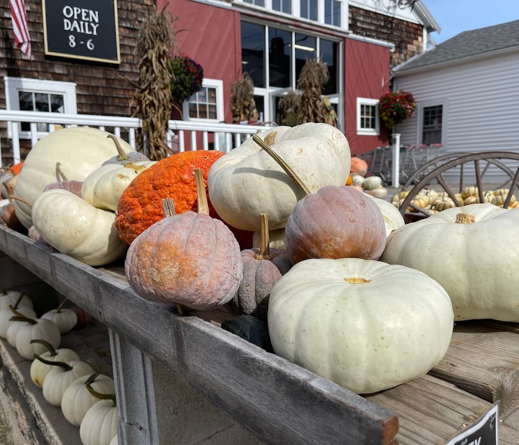 Fall Weekends at Cider Hill Farm 3