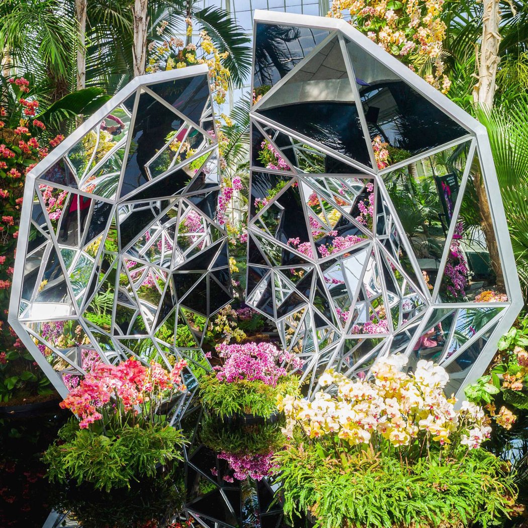 The Orchid Show: Mr. Flower Fantastic’s Concrete Jungle 1