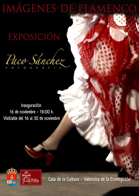 Exposición: Imágenes de Flamenco 1