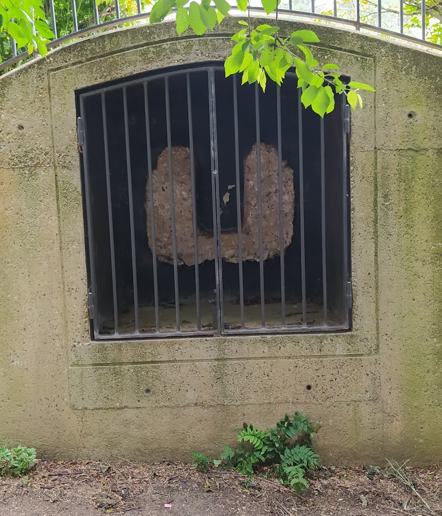 Vestiges de l'aqueduc de Lutèce 3