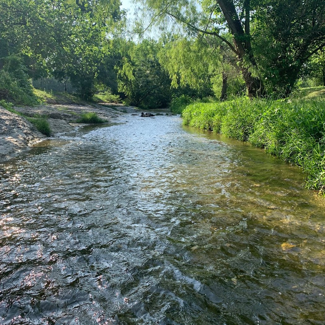 Pfluger Park 3