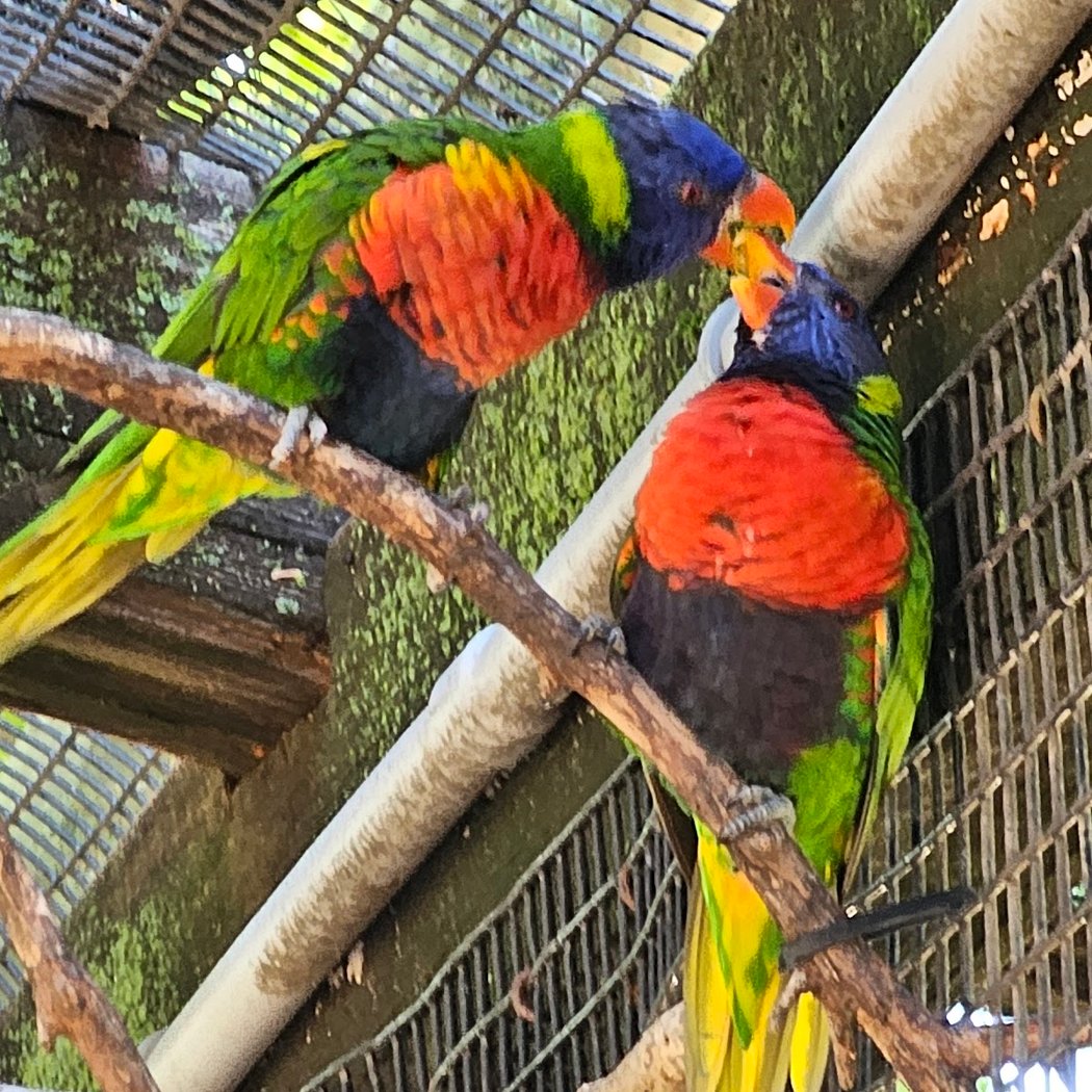 Topeka Zoo 3