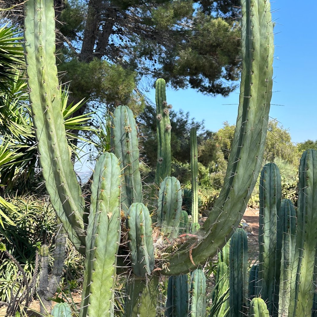 Conejo Valley Botanic Garden 2