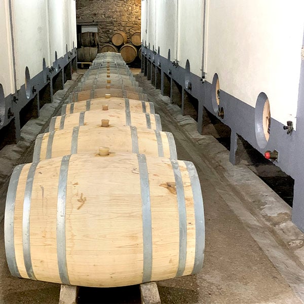 VIGNOBLE DROUARD 2