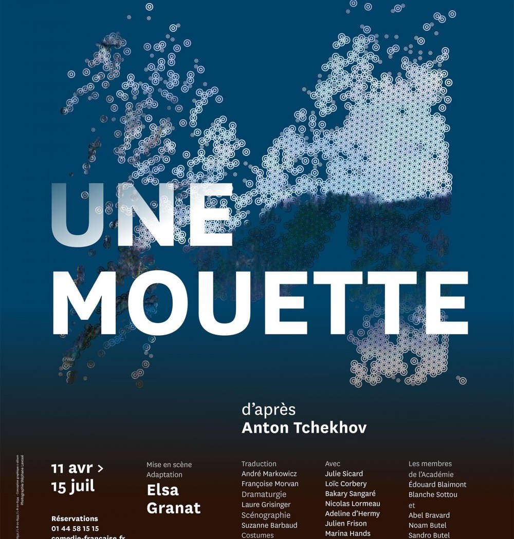 Une mouette 1