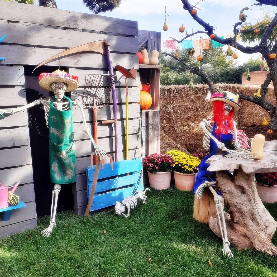 Terra Botanica 2