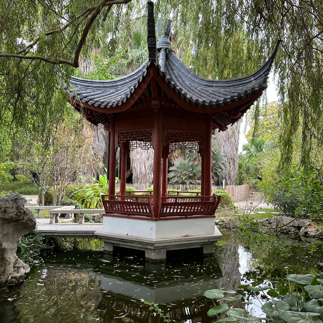 Jardin chinois 1
