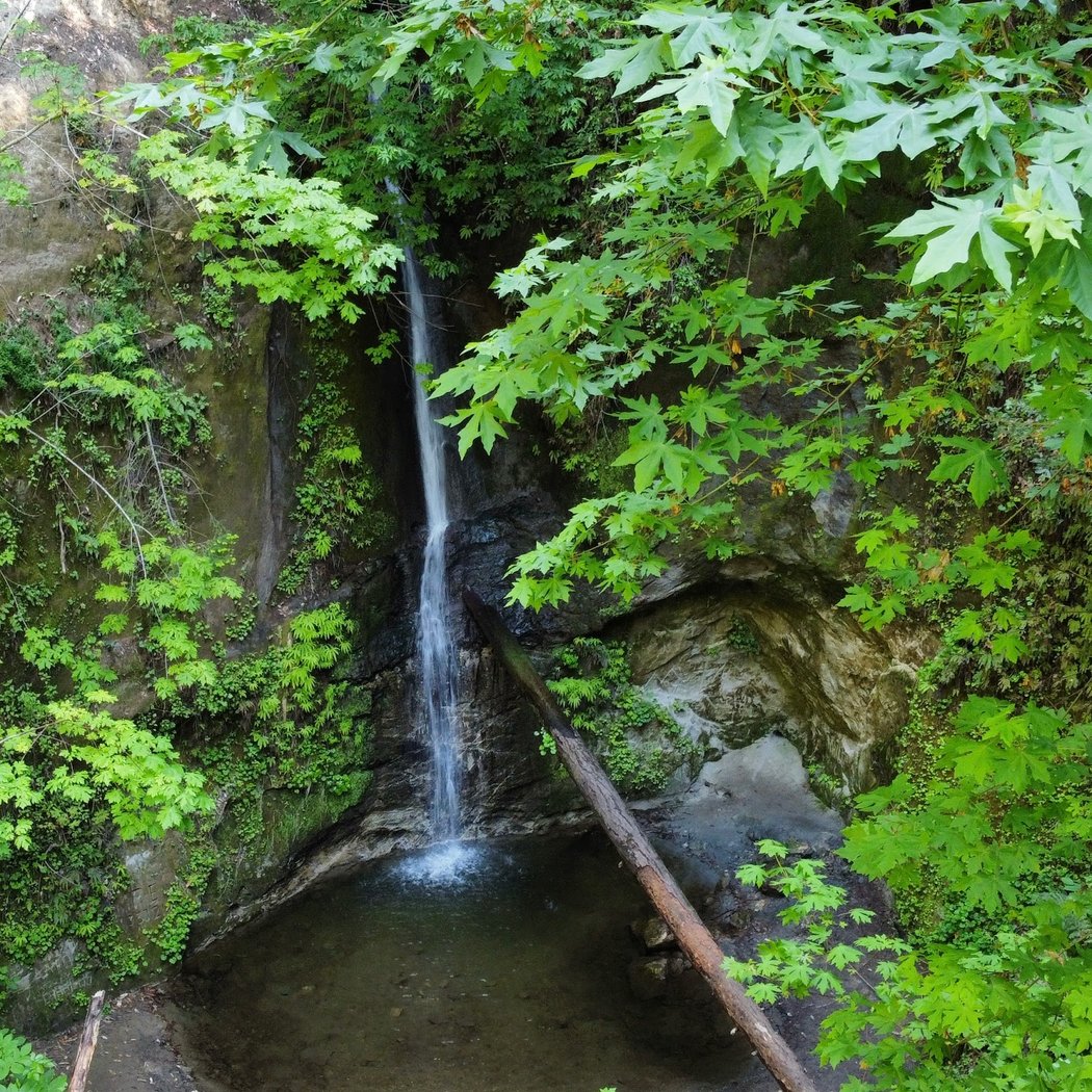 Maple Falls 1