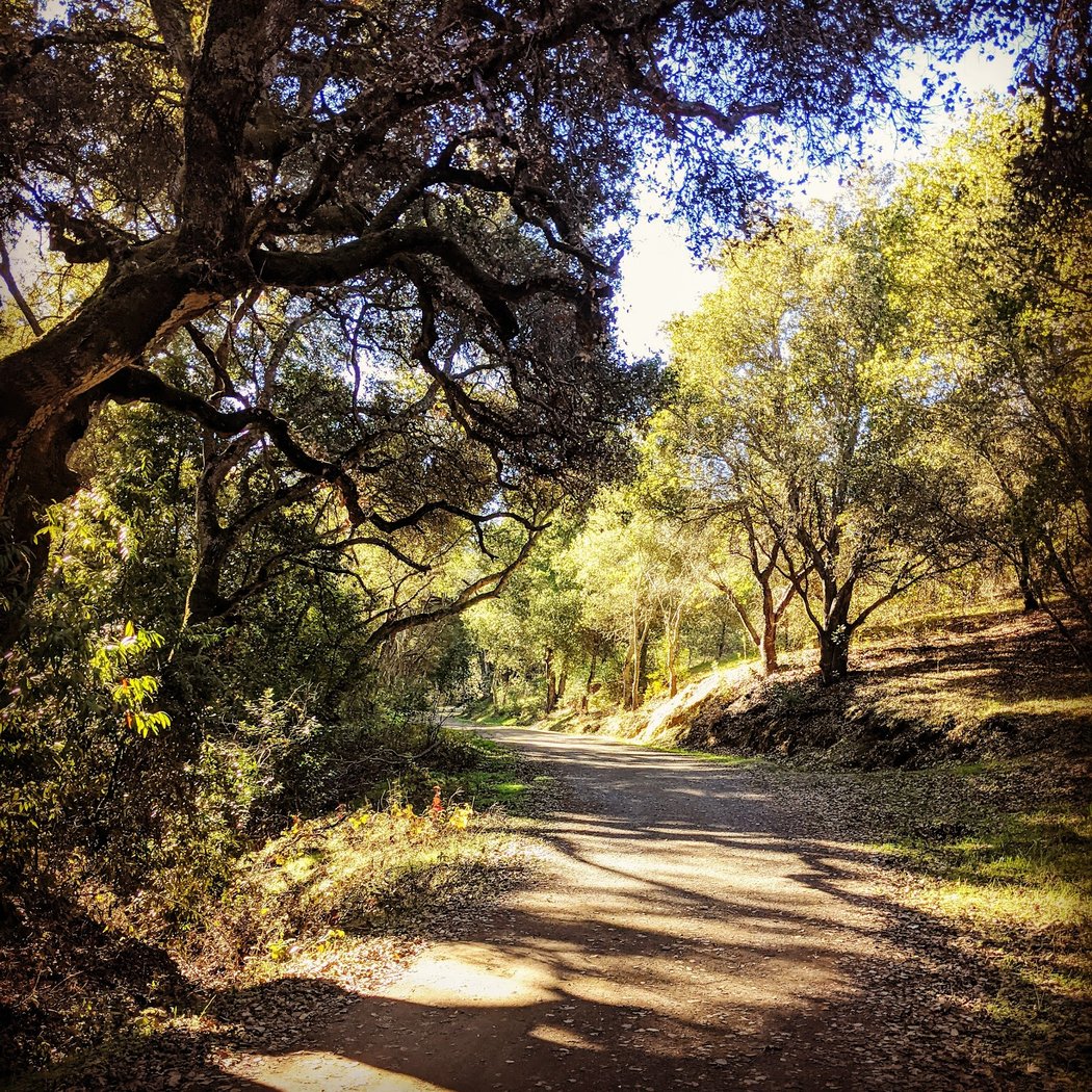 Arastradero Creek Trail 1