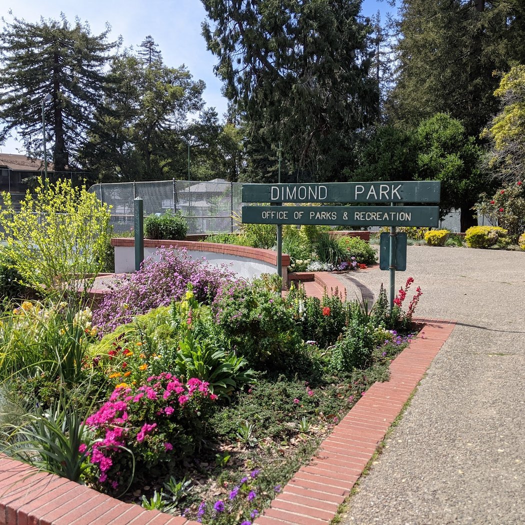 Cuttin' some ivy in Oakland's urban redwood forest 2