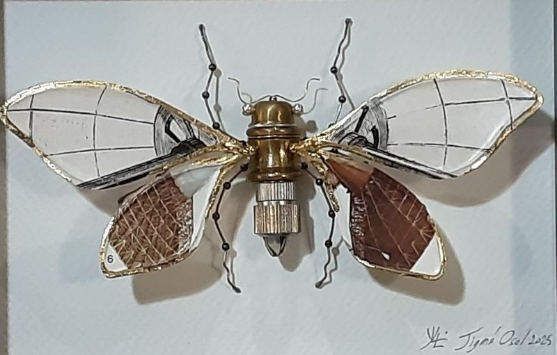 Libellules 3