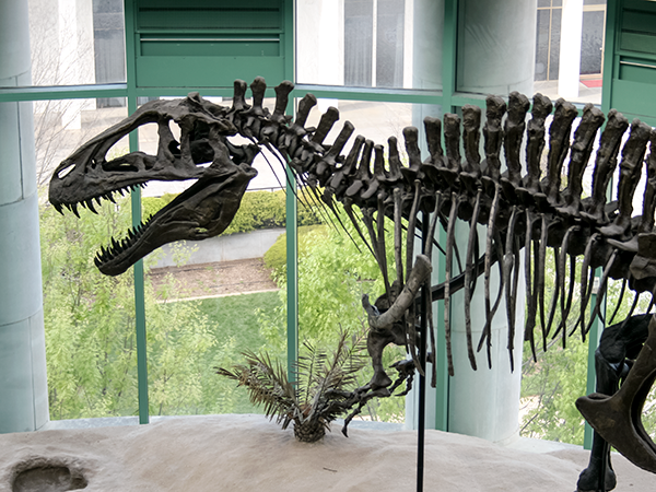 North Carolina Museum of Natural Sciences 3
