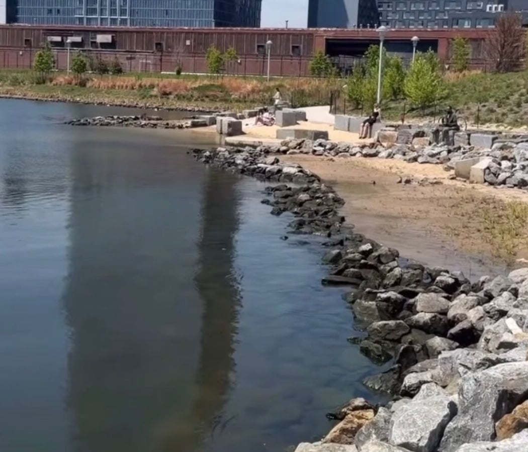 Bushwick Inlet Park 2
