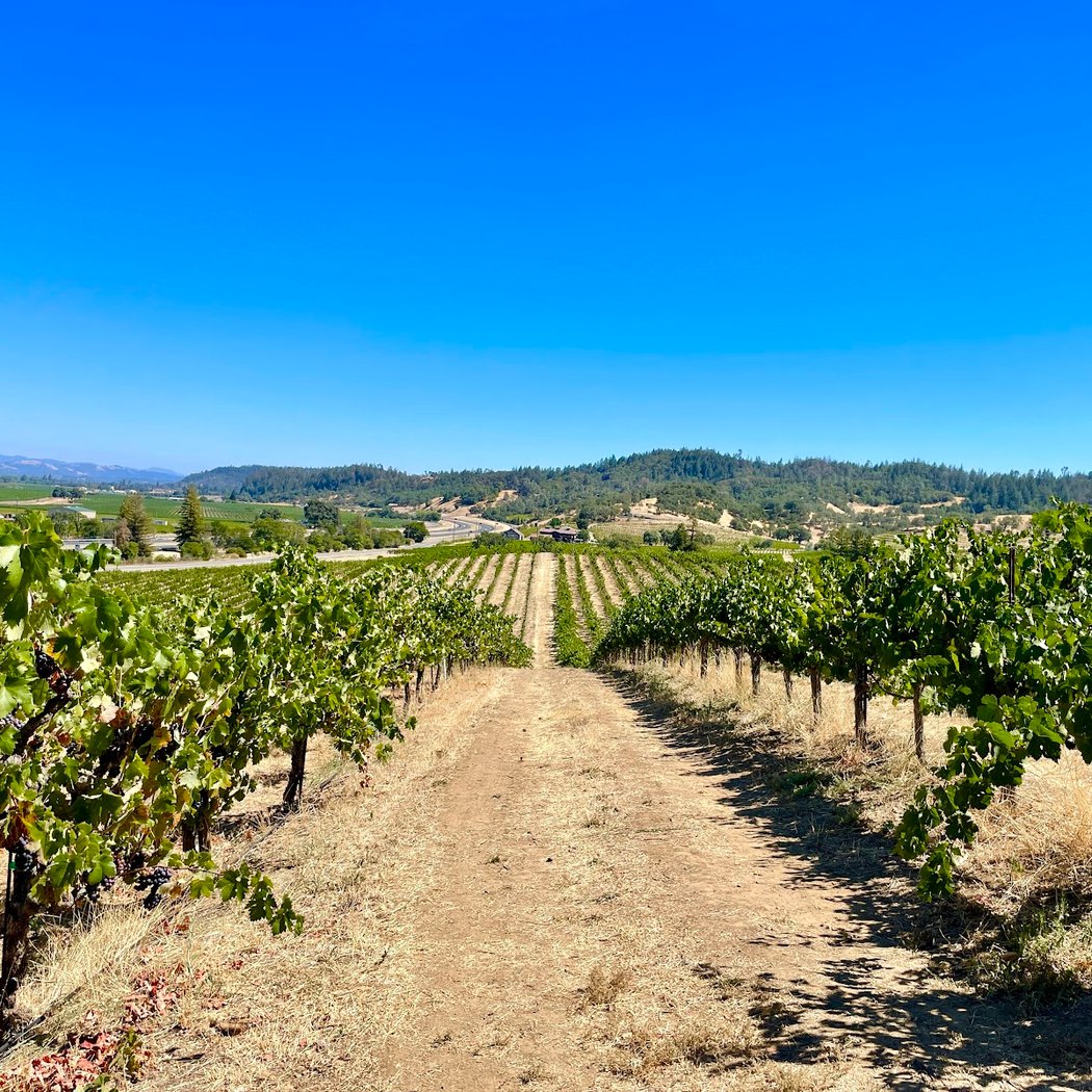 J. Rickards Winery 3