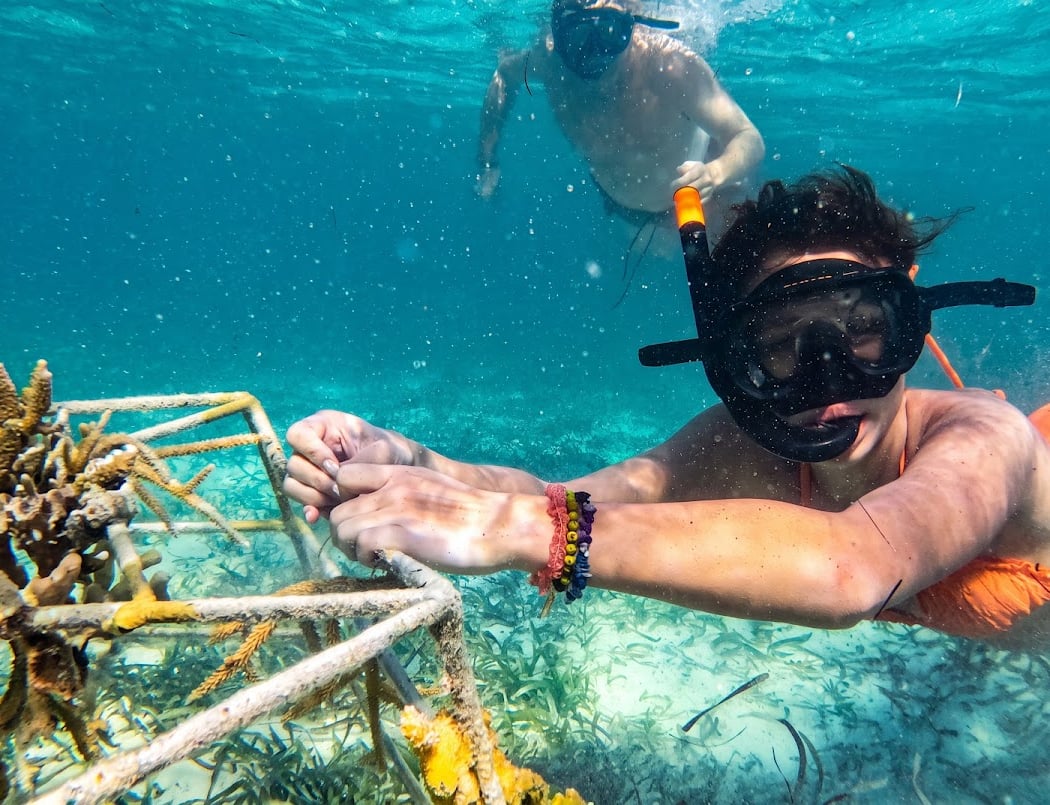 Hispaniola Aquatic Adventures 2