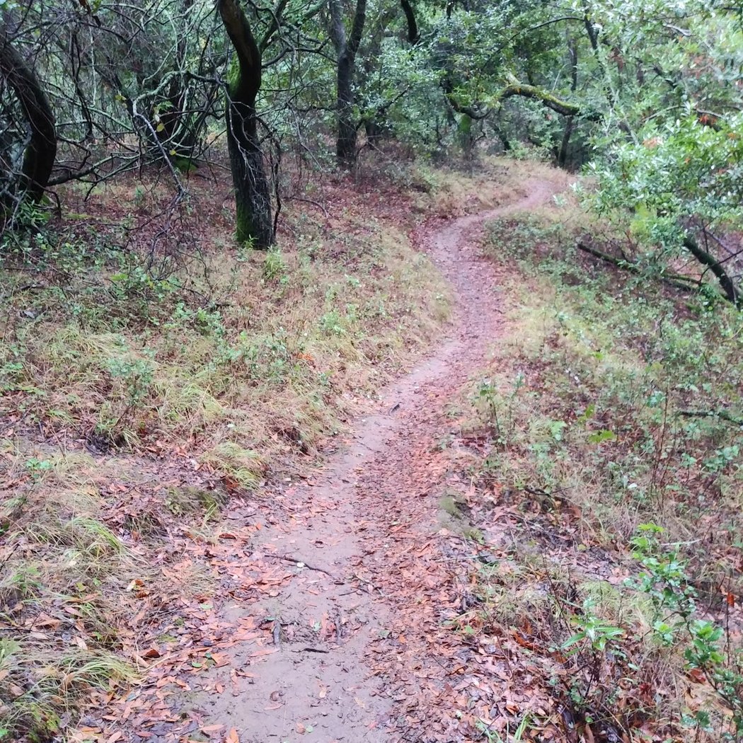 Moller Ranch Staging Area 3