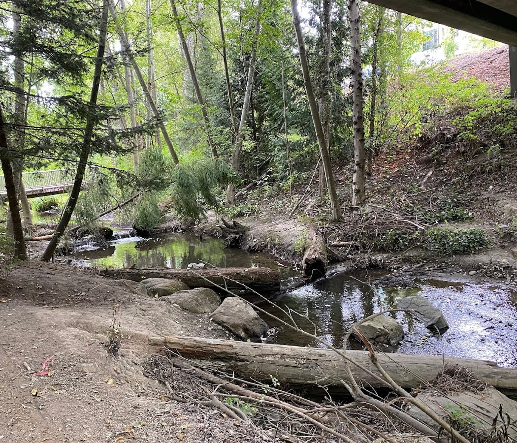 Restoration Work Party at Longfellow Creek 2
