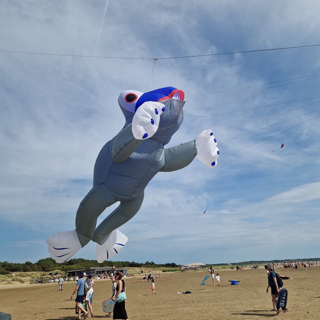 Festival de Cerf-Volant 4
