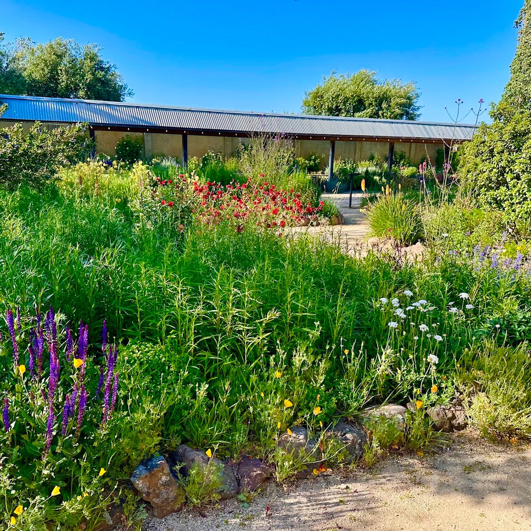 Sunset Test Gardens at Cornerstone Sonoma 2