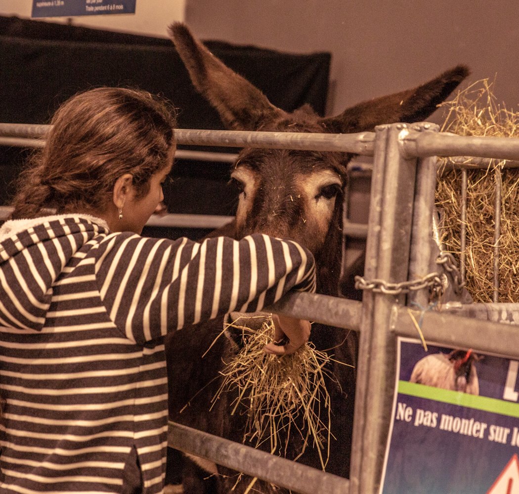 Salon de l'agriculture paysanne et durable à Biarritz Pays basque (64)- Lurrama 1