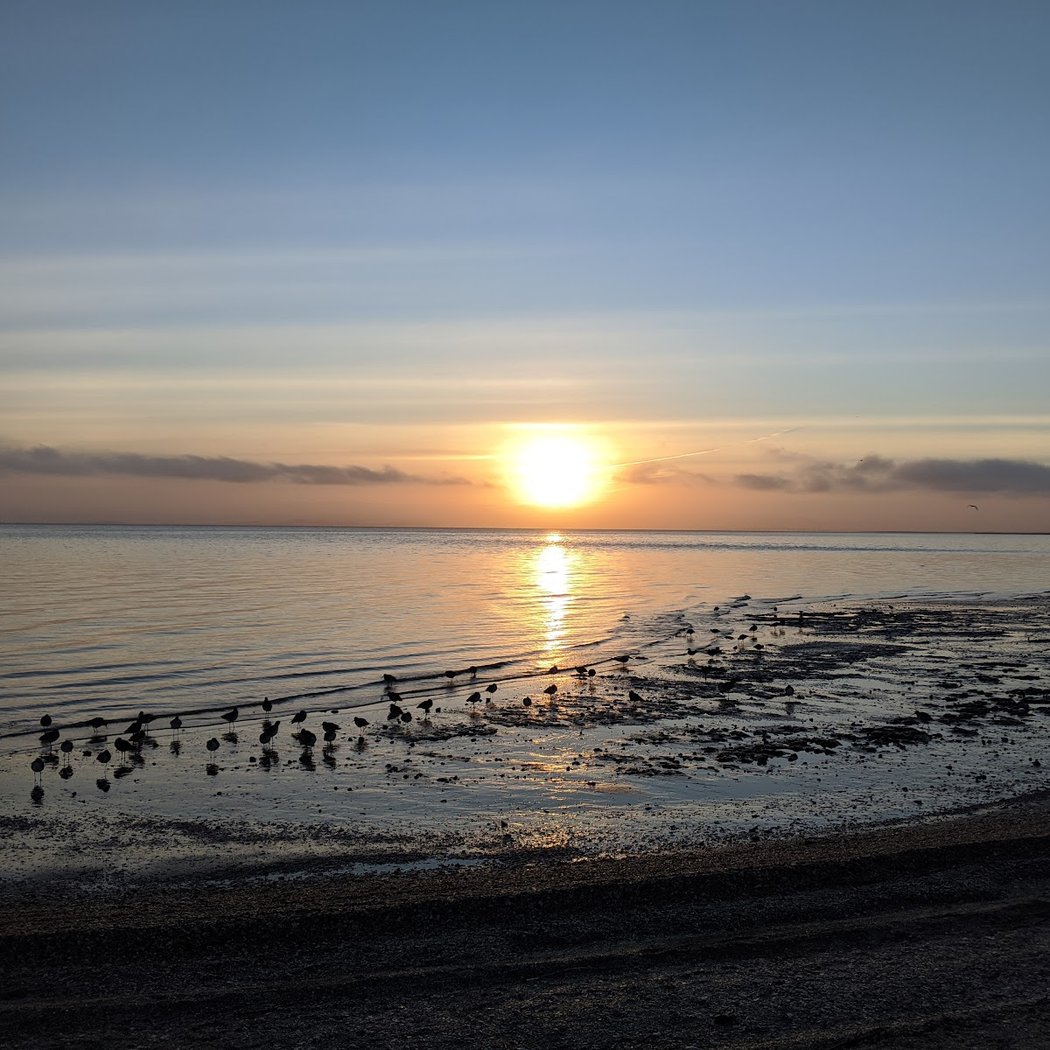 Bay Beach 1