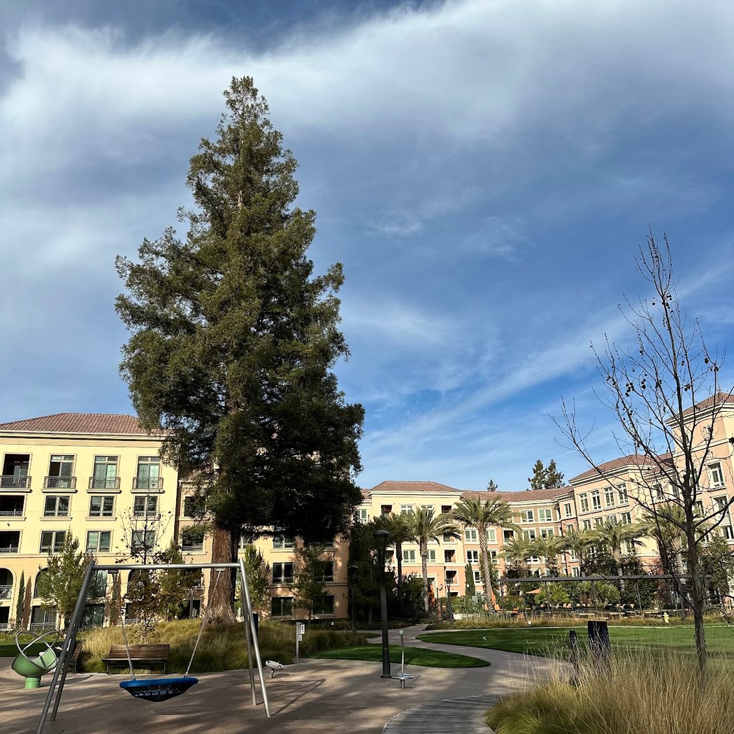 Meadow Park 2