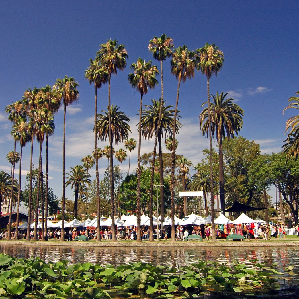 Lotus Festival 2