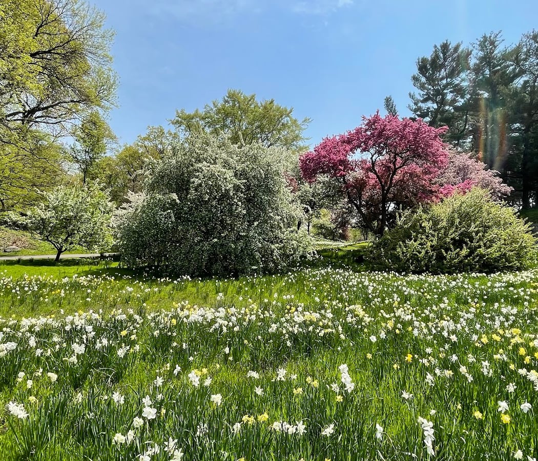 Native Plant Garden, NYBG 1
