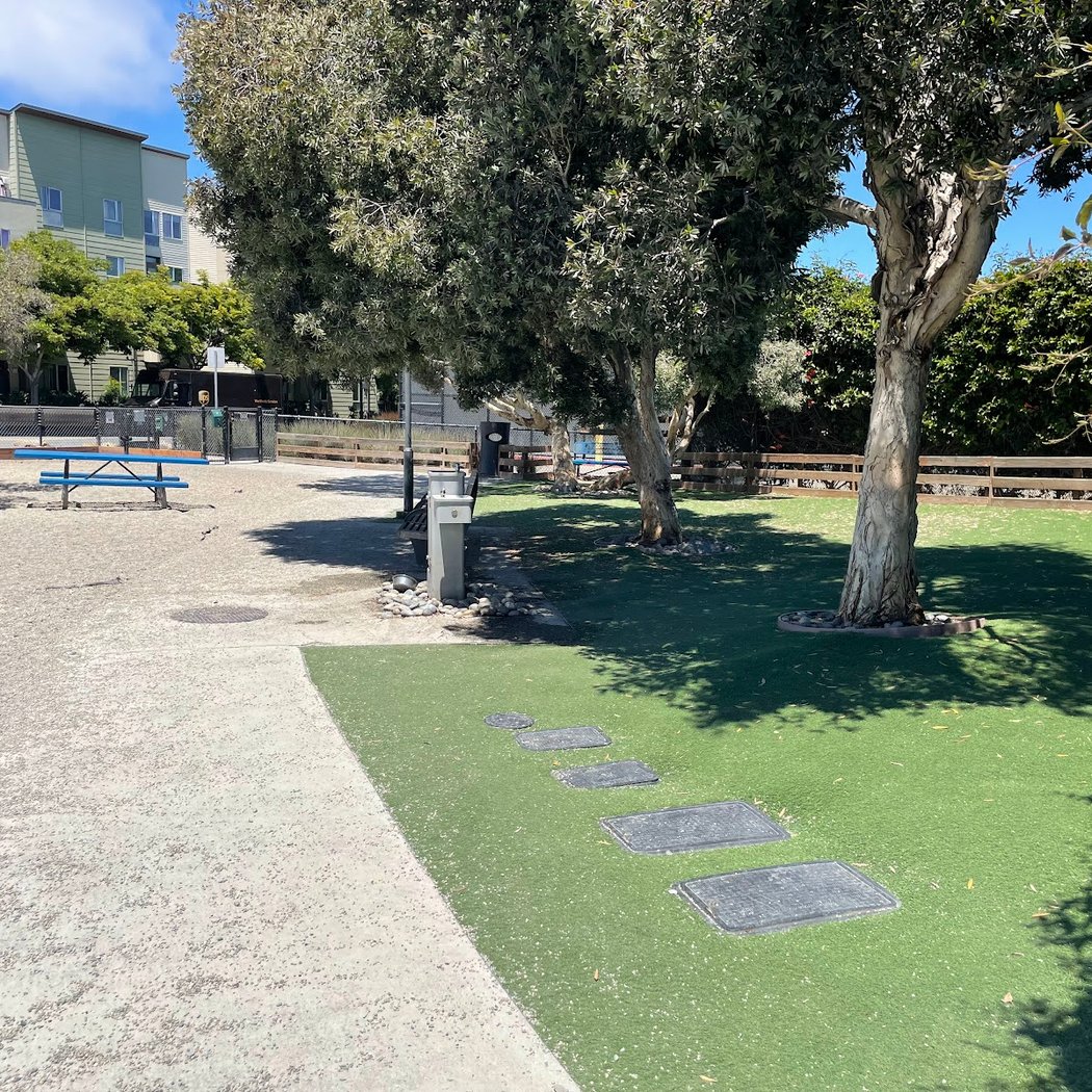 Berry Street Dog Park 2
