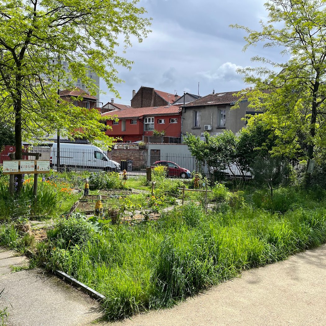 Frida Kahlo Garden 2