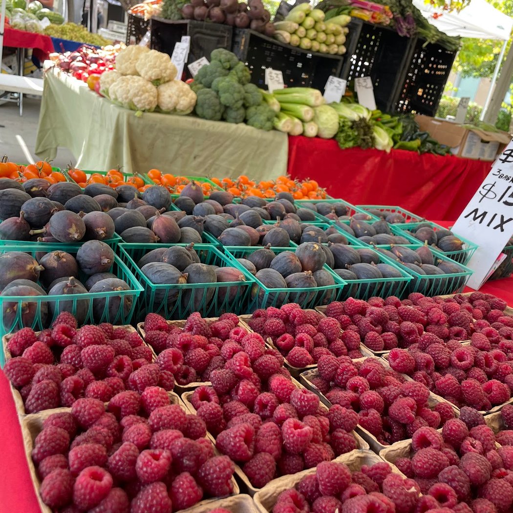 Kaiser Vacaville Farmers Market 1