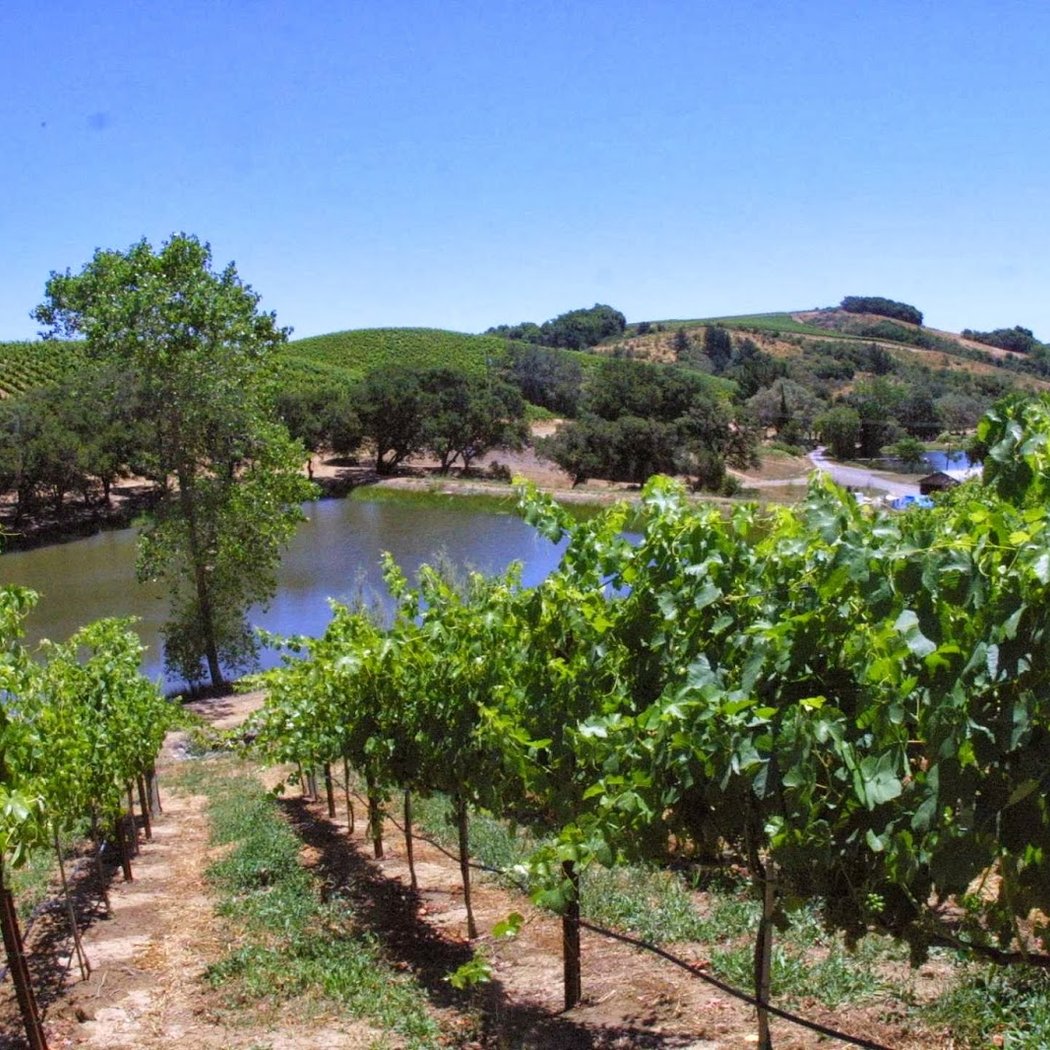 Wine Road 2