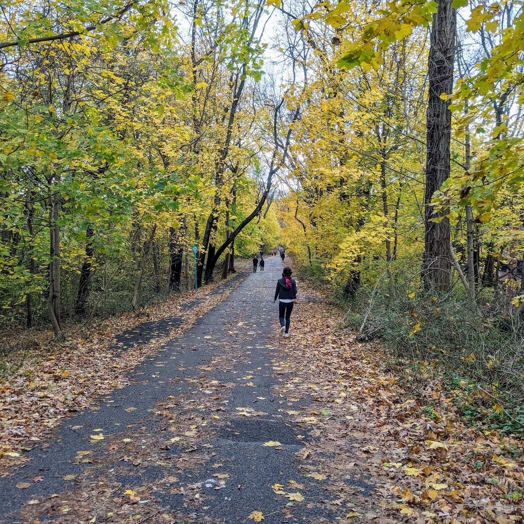 Vanderbilt Motor Parkway 3