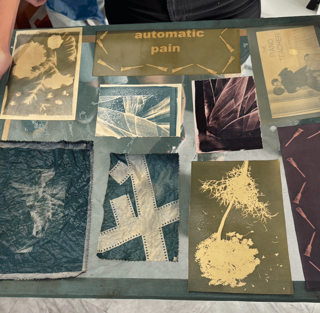 Advanced Cyanotype: Textiles & Botanicals