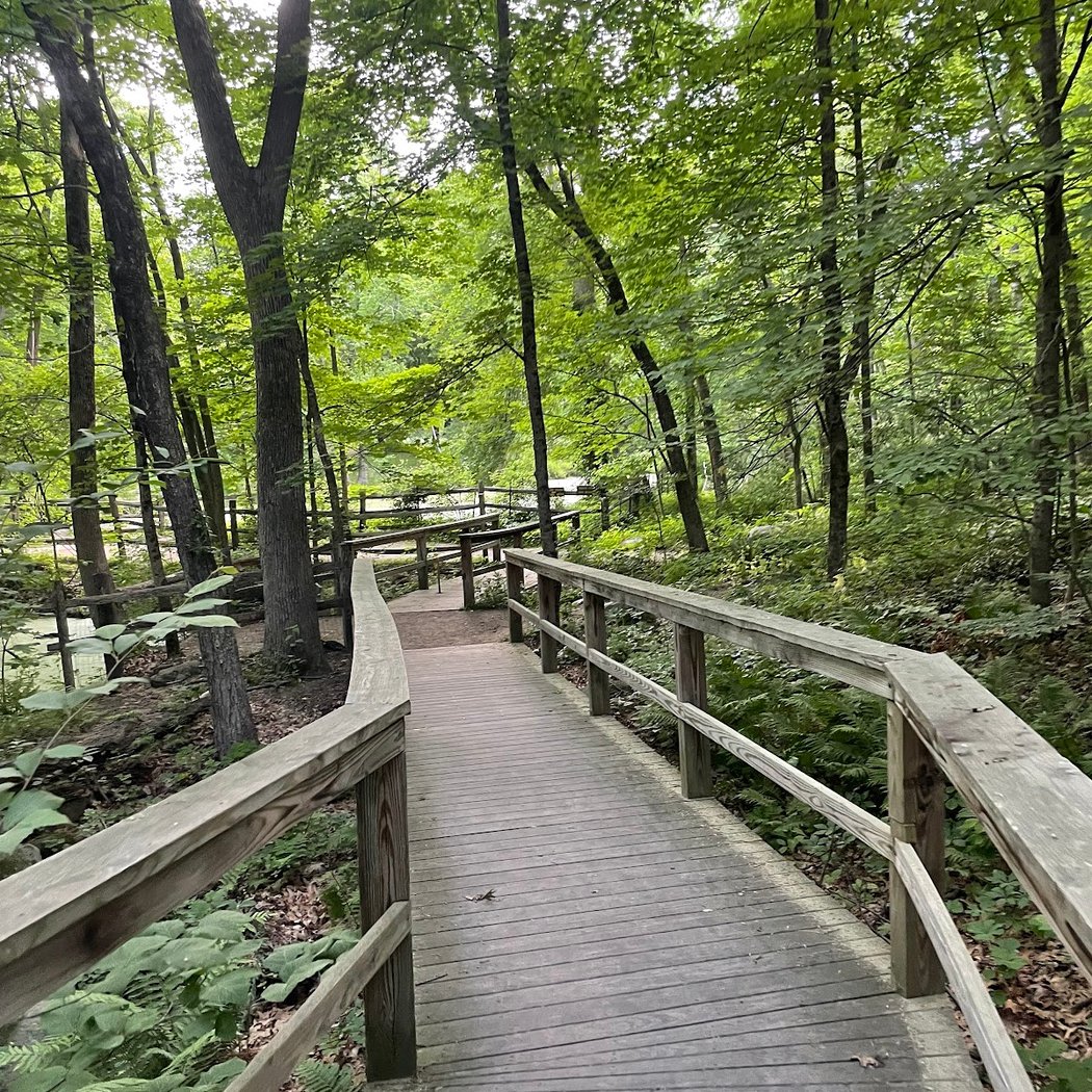 Acton Arboretum 2