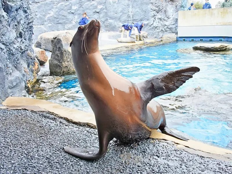 Mystic Aquarium 2