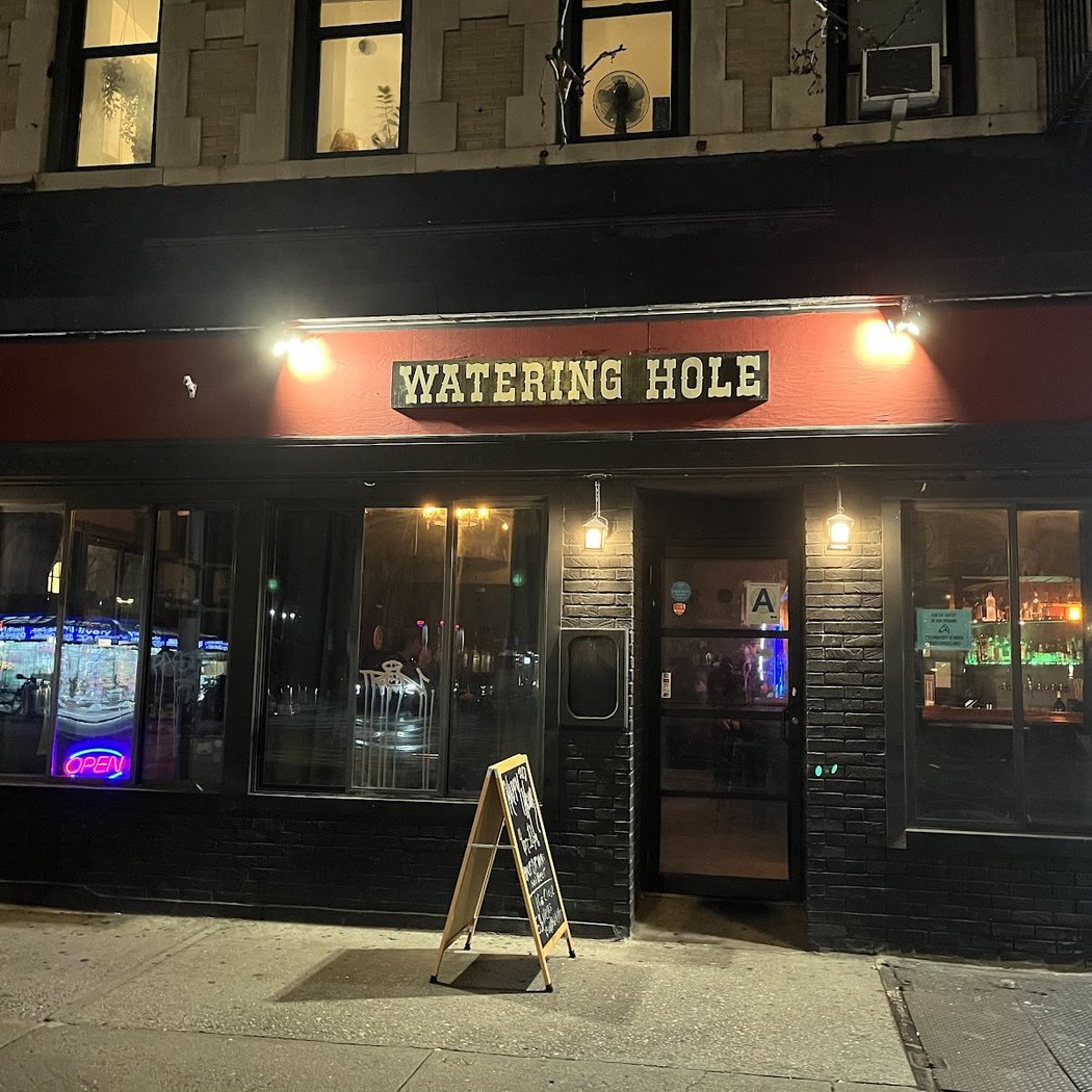 The Watering Hole NYC 2