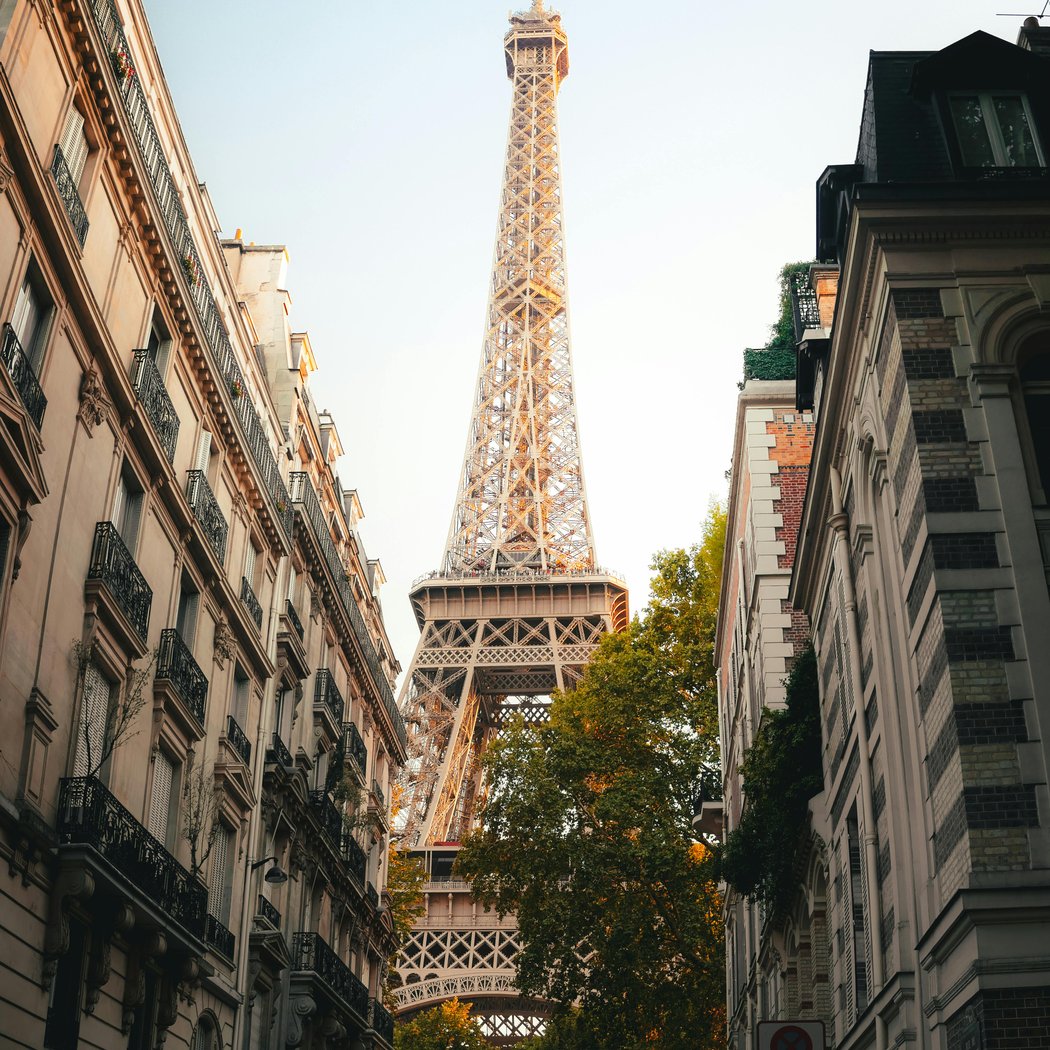 Rue de l'Université 5