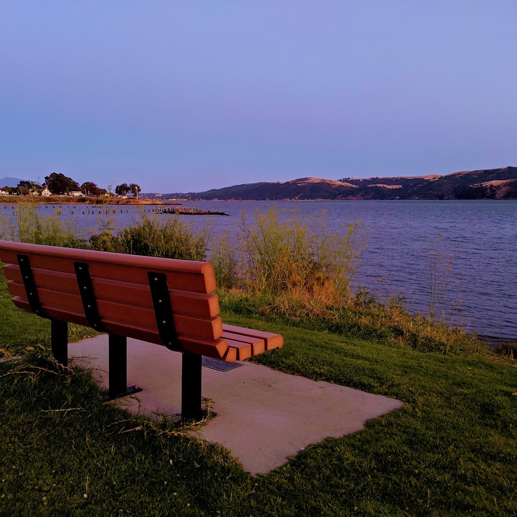 Matthew Turner Park 3
