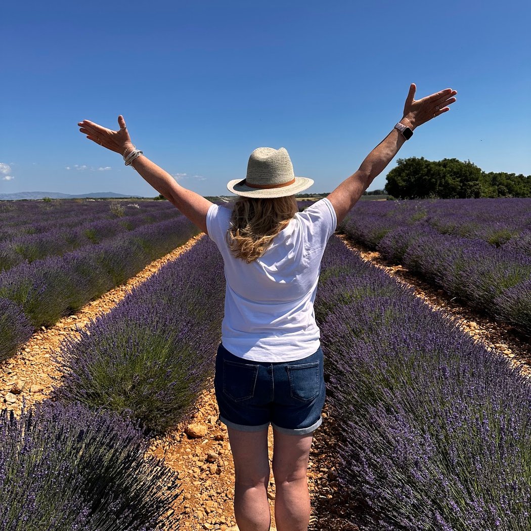 Lavender Fields 3