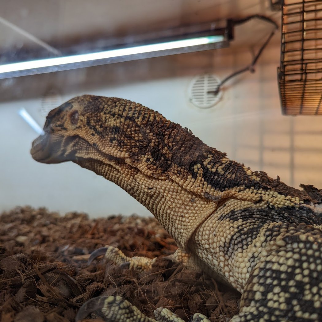 East Bay Vivarium 3