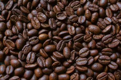 Coffee Tasting 1