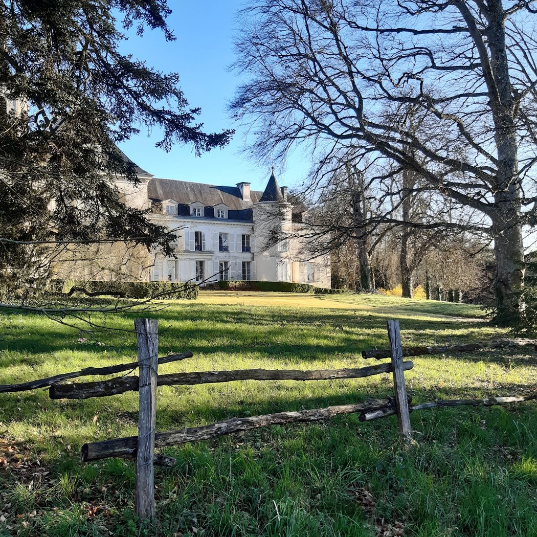 Château De Charnizay 2