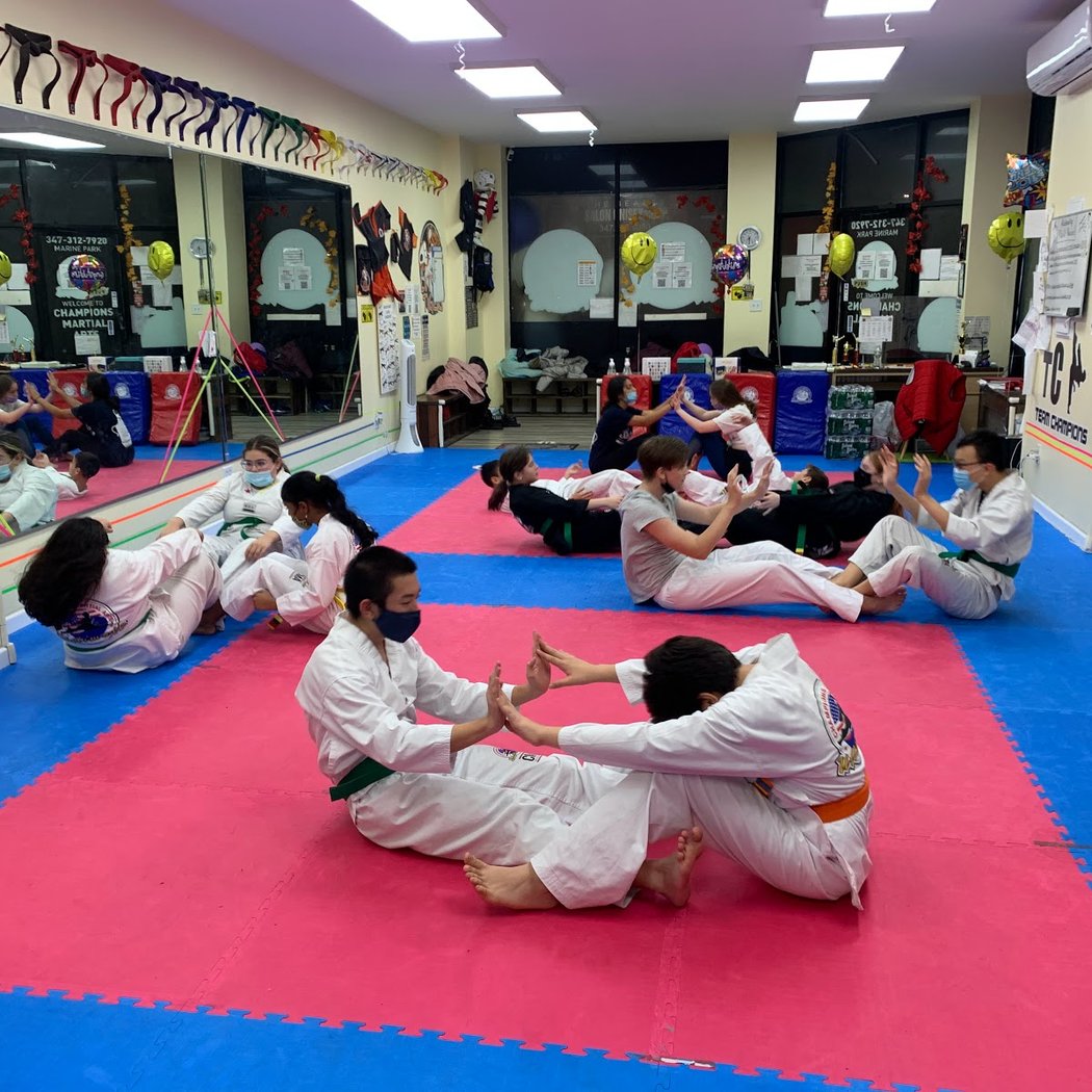 Teens & Adults Taekwondo 2