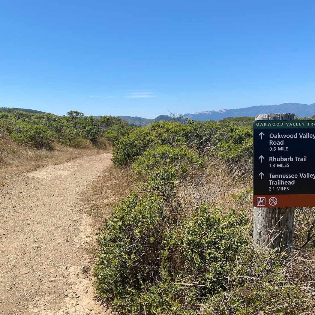 Rhubarb Trail 3