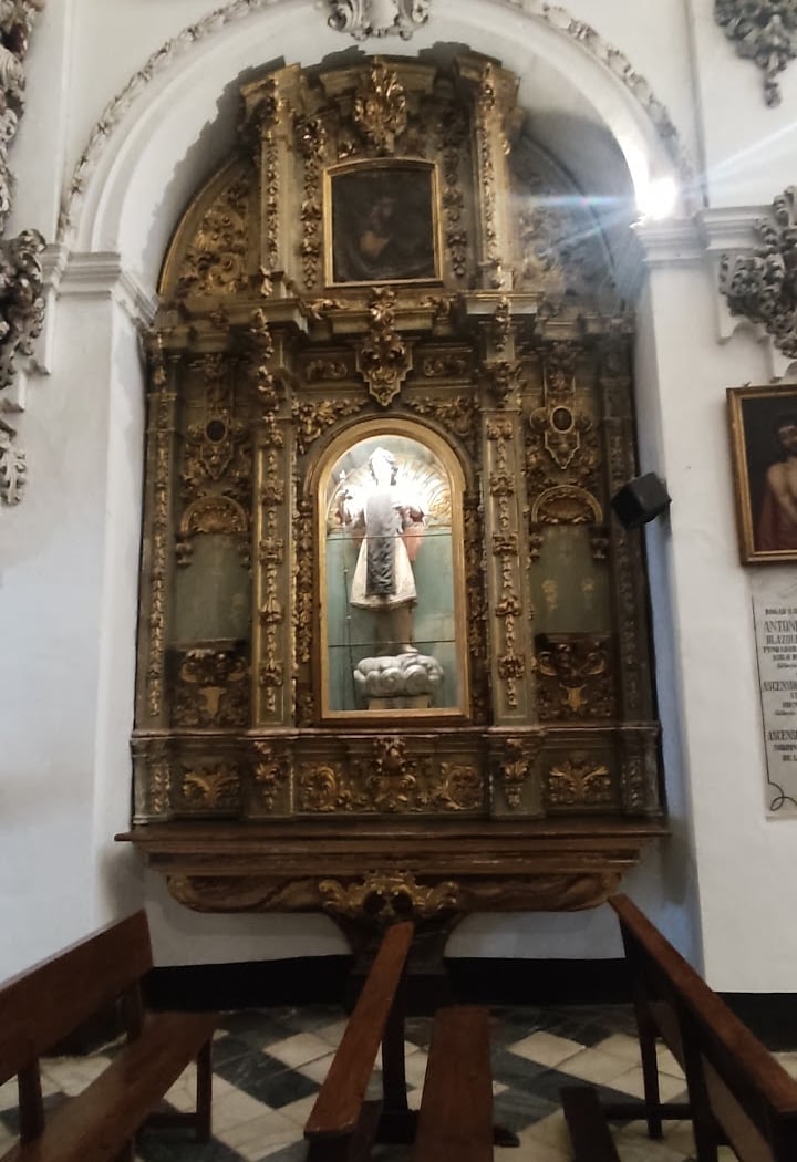 Exaltación de la Saeta de Antequera 2026 3