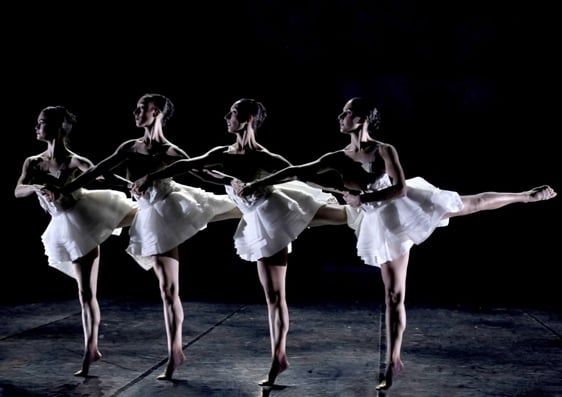 BALLET PRELJOCAJ : LE LAC DES CYGNES 4