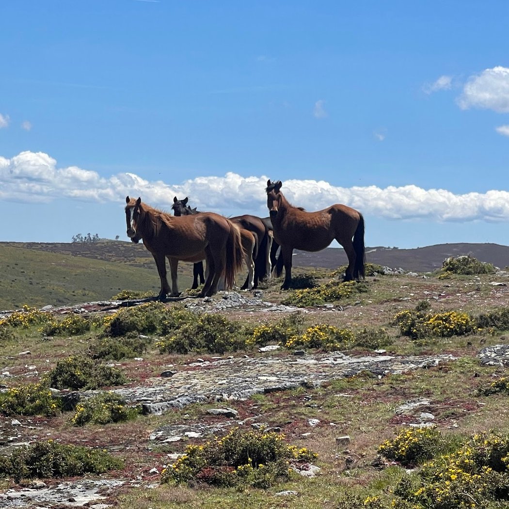 ECOTURA, ecotourism and nature retreats 3