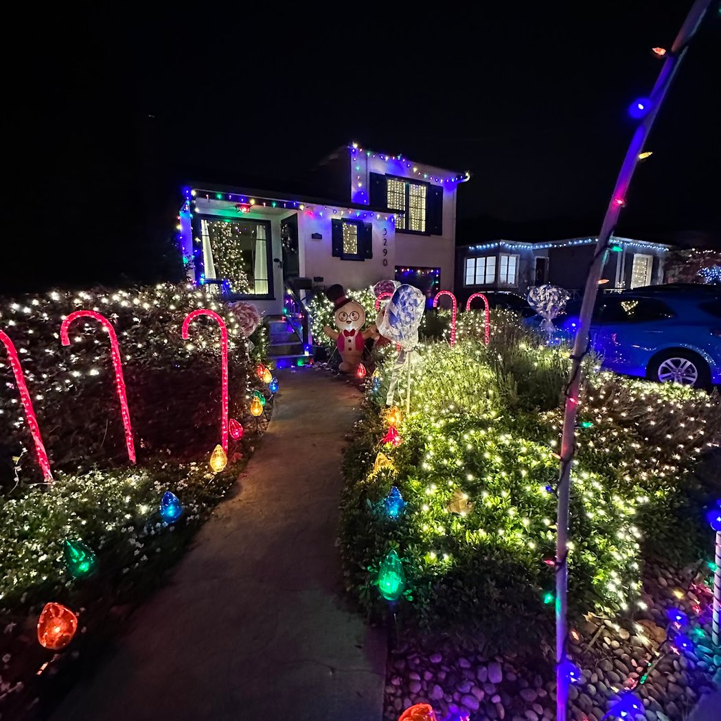 Christmas Tree Lane 5